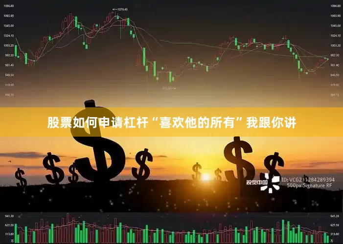 股票如何申请杠杆“喜欢他的所有”我跟你讲
