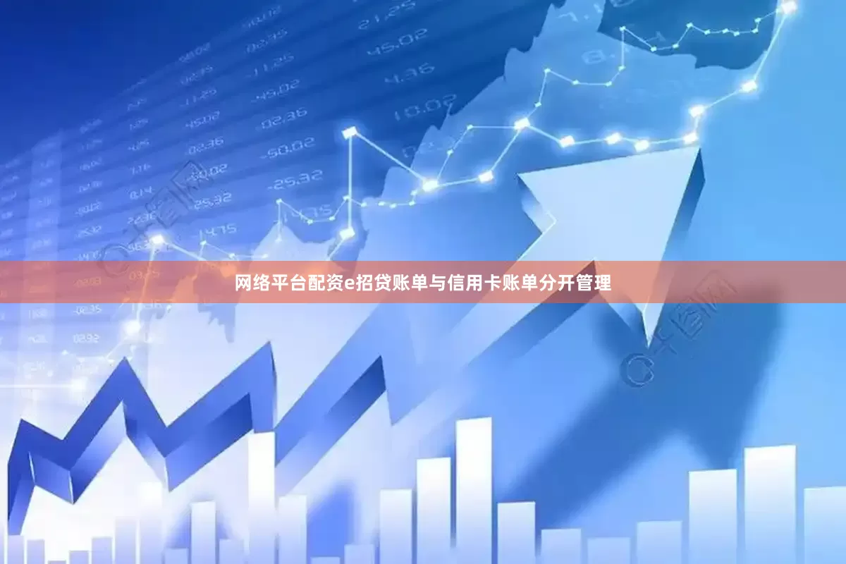 网络平台配资e招贷账单与信用卡账单分开管理